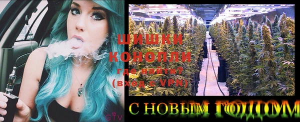 a pvp Белокуриха