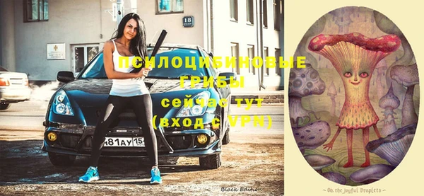 амф Янаул